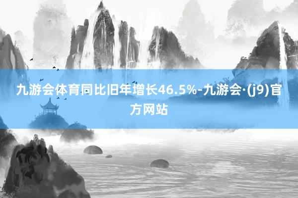 九游会体育同比旧年增长46.5%-九游会·(j9)官方网站